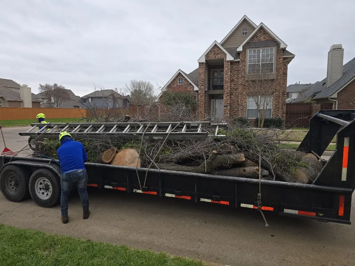 Expert Tree Removal with proper safety equipment in Batavia